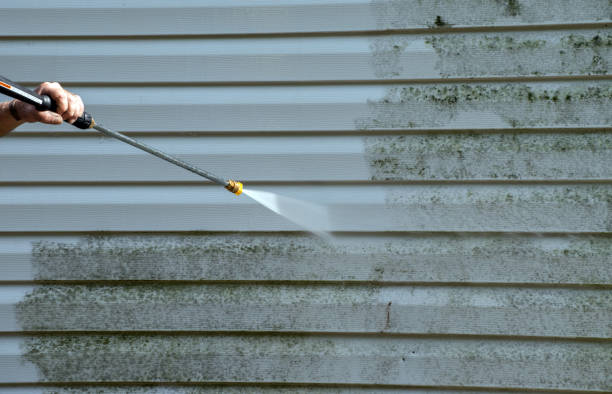 Best Fence Pressure Washing  in Mendota, CA